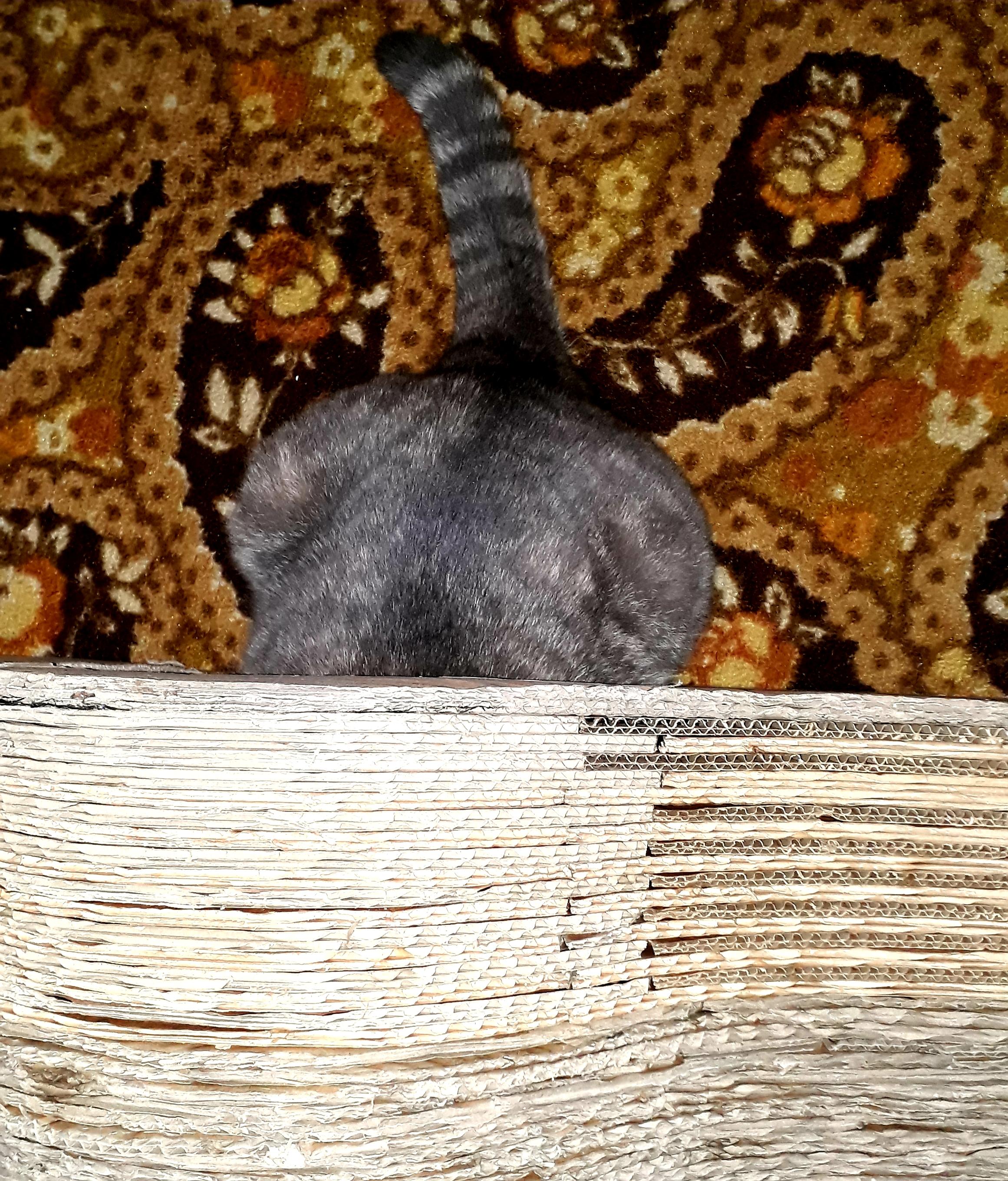 20210916_125835.jpg