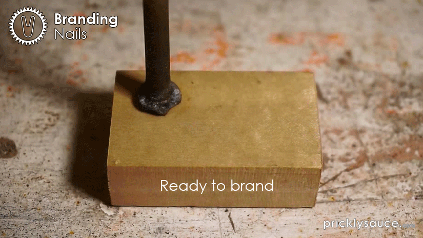23-Branding-nails-Instructable.gif