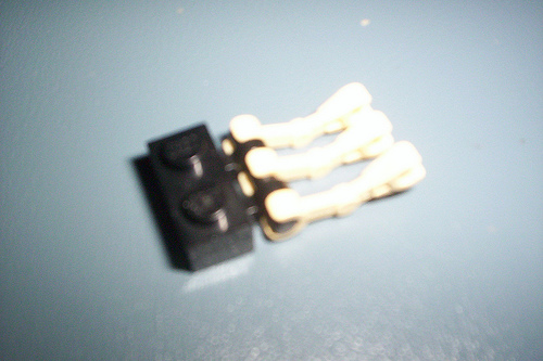 2686084614_4d5529fcbb.jpg