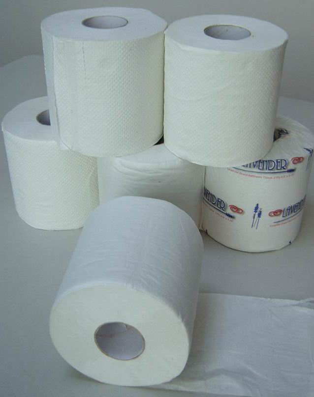 2y2aye951toilet_paper_roll.jpg