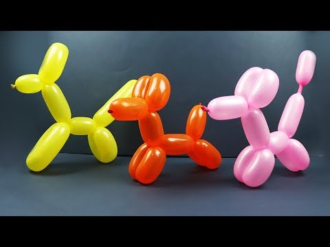 3 Easy ways How to Make a Balloon Dog