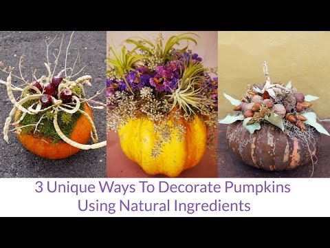 3 Unique &amp;amp; Creative Ways To Decorate Pumpkins Using Natural Ingredients