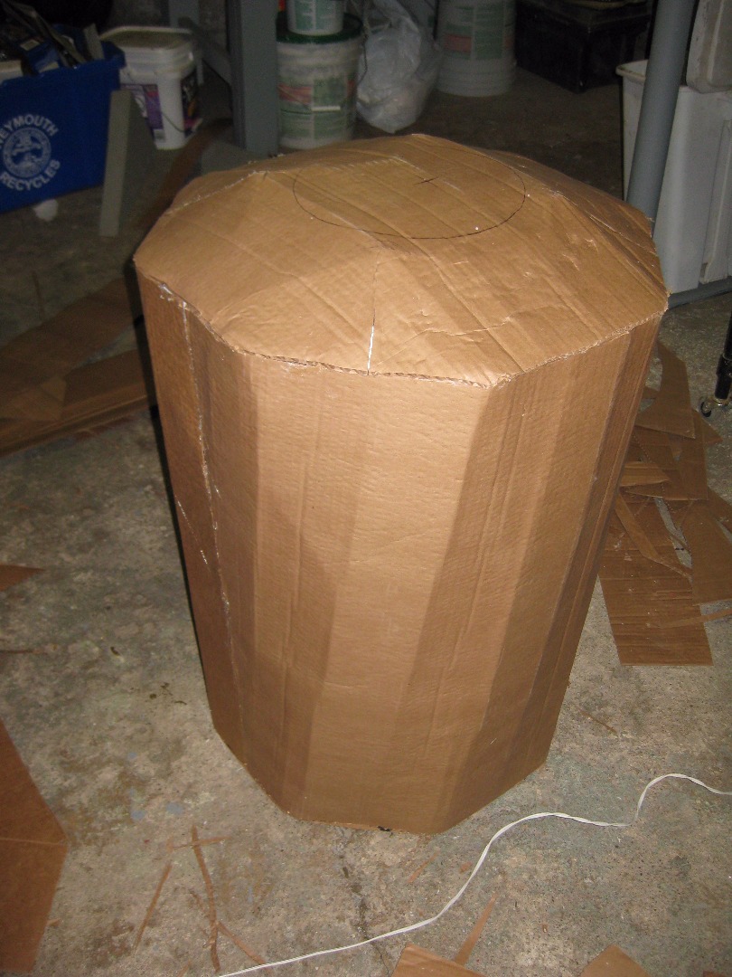 36 Cardboard Skin.JPG