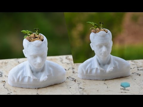 3D printed flower Pot