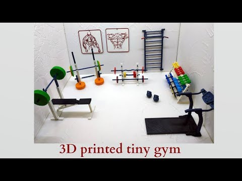 3D printed tiny gym