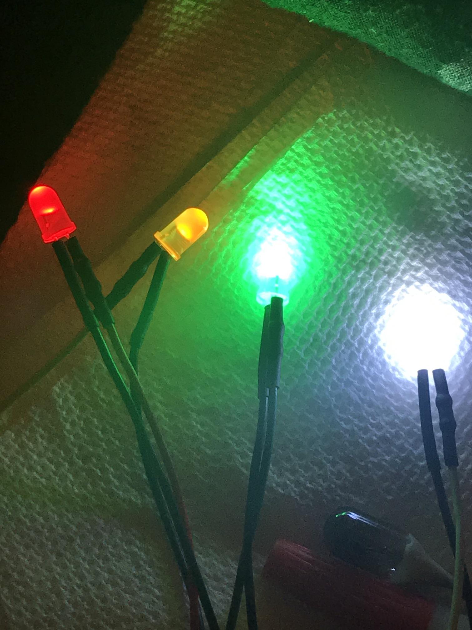 3c LEDs.JPG