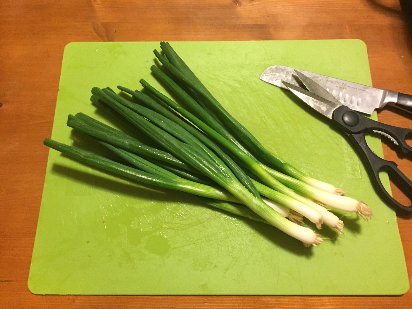 4 Green onions.JPG