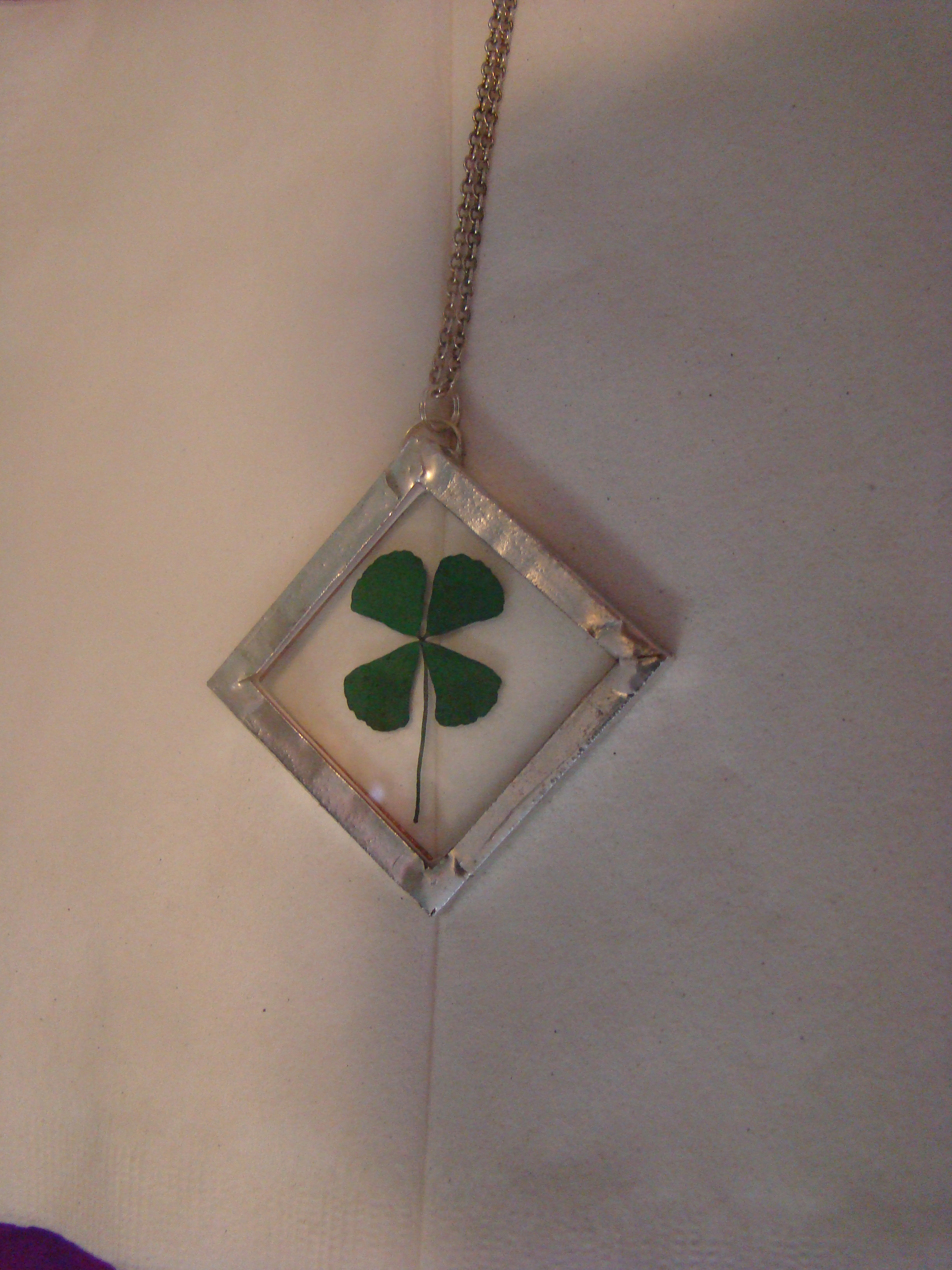 4 leaf clover 25.JPG