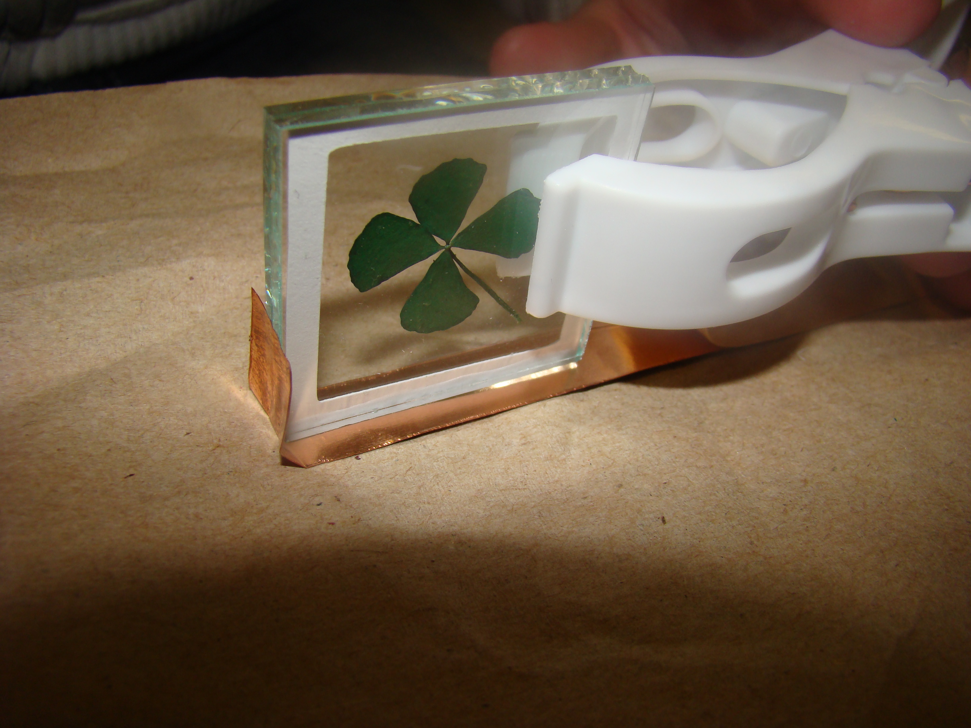 4 leaf clover 7.JPG