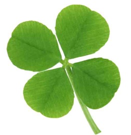 4-leaf-clover.jpg