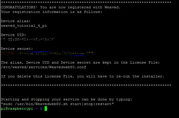 5 - Succsefuly Installing Weaved on the Raspberry Pi.JPG