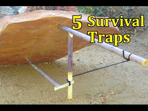 5 SURVIVAL TRAPS