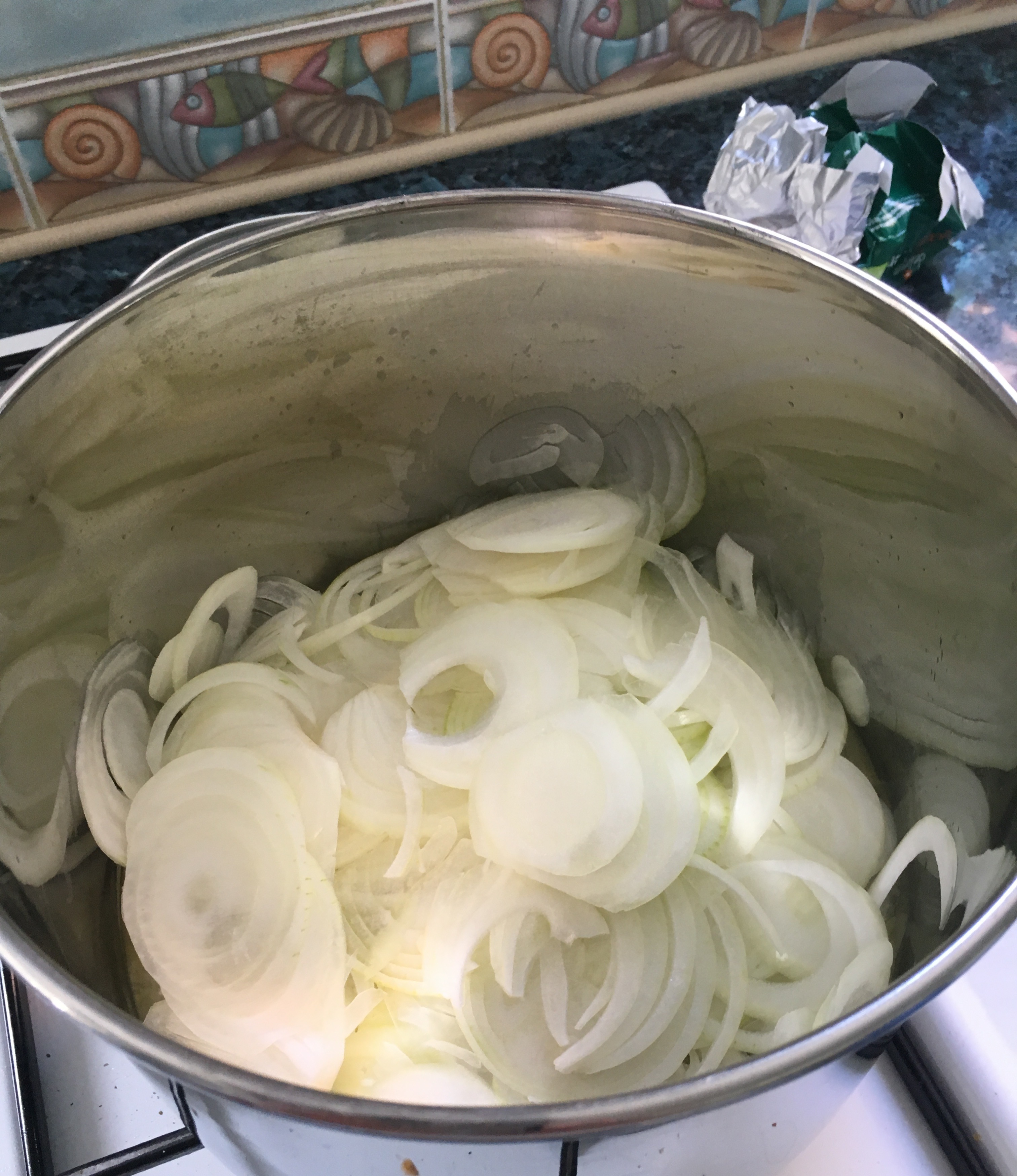 5 sliced onions.JPG