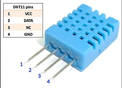 51-fjA52JRL._SX425_.jpg