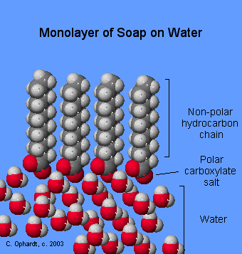 554monolayer.gif