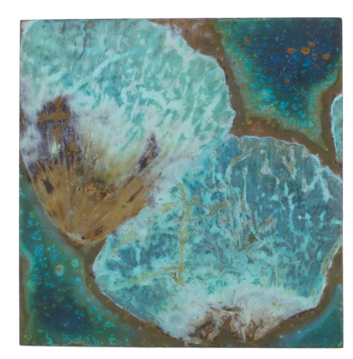 58a_edited_image_patina forming_clipped_rev_1.png