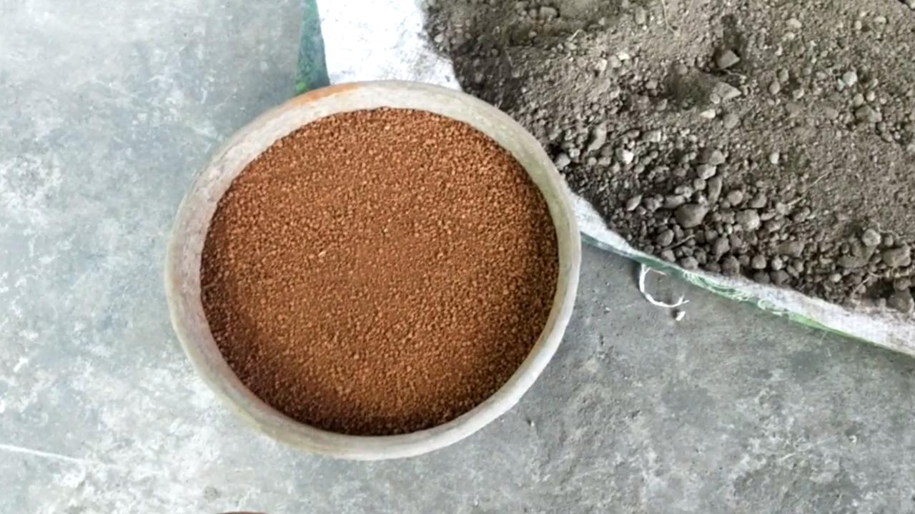 5_soil_2.jpg