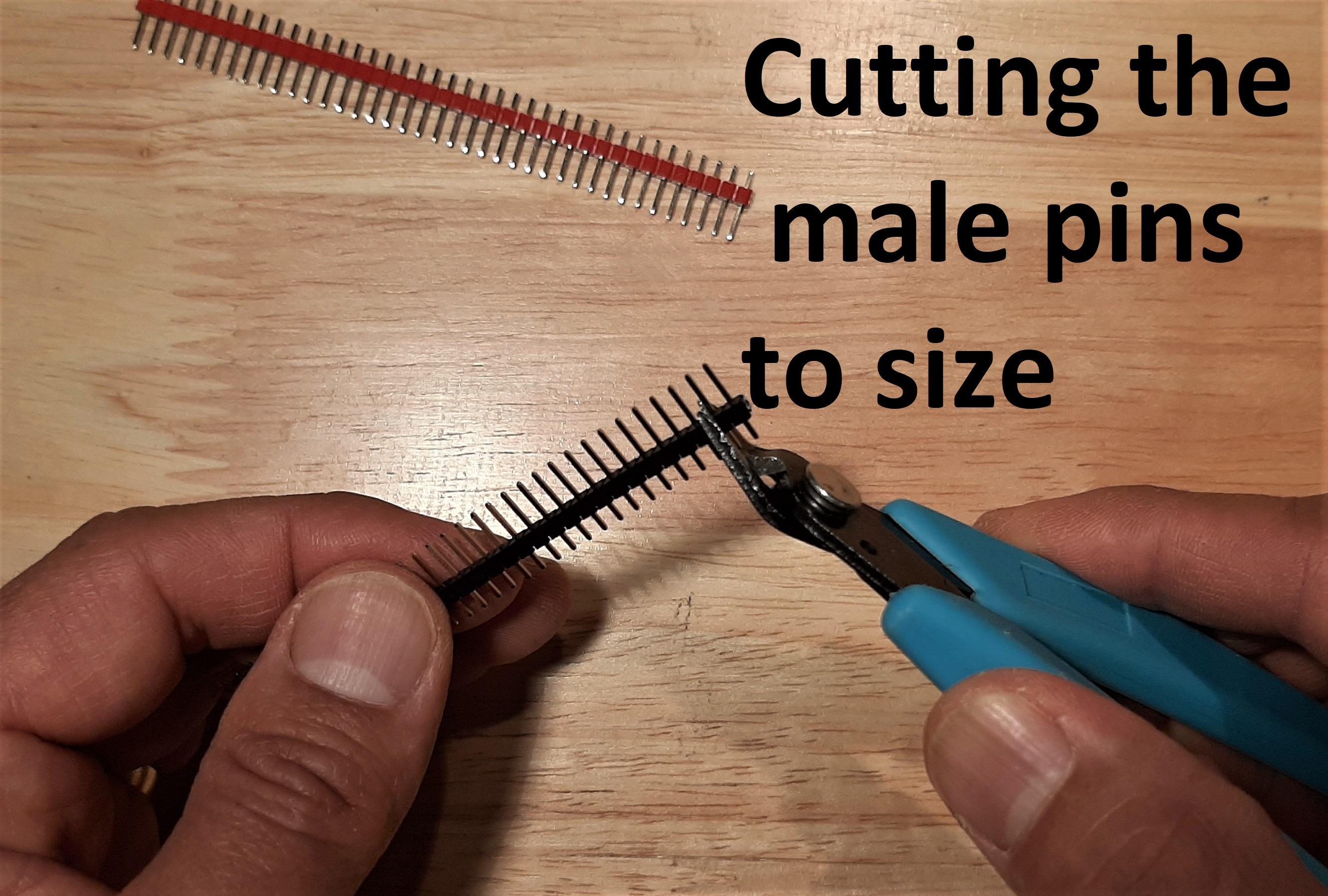 6 male pins.jpg