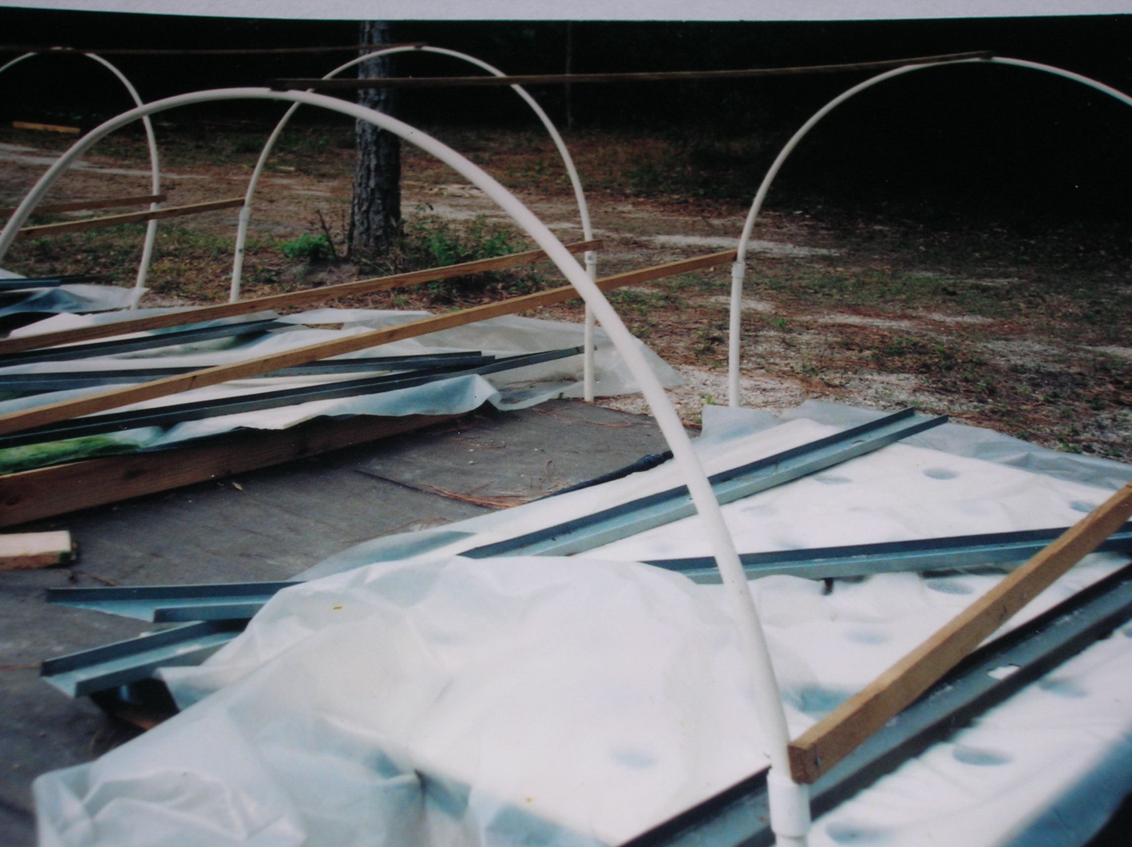 6 pvc framed mini grnhsbeds.JPG