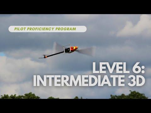 6. Intermediate 3D: RC Helicopter Pilot Proficiency Program