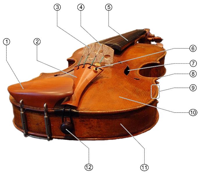 687px-Violin_made_in_about_1770-numbered.jpg