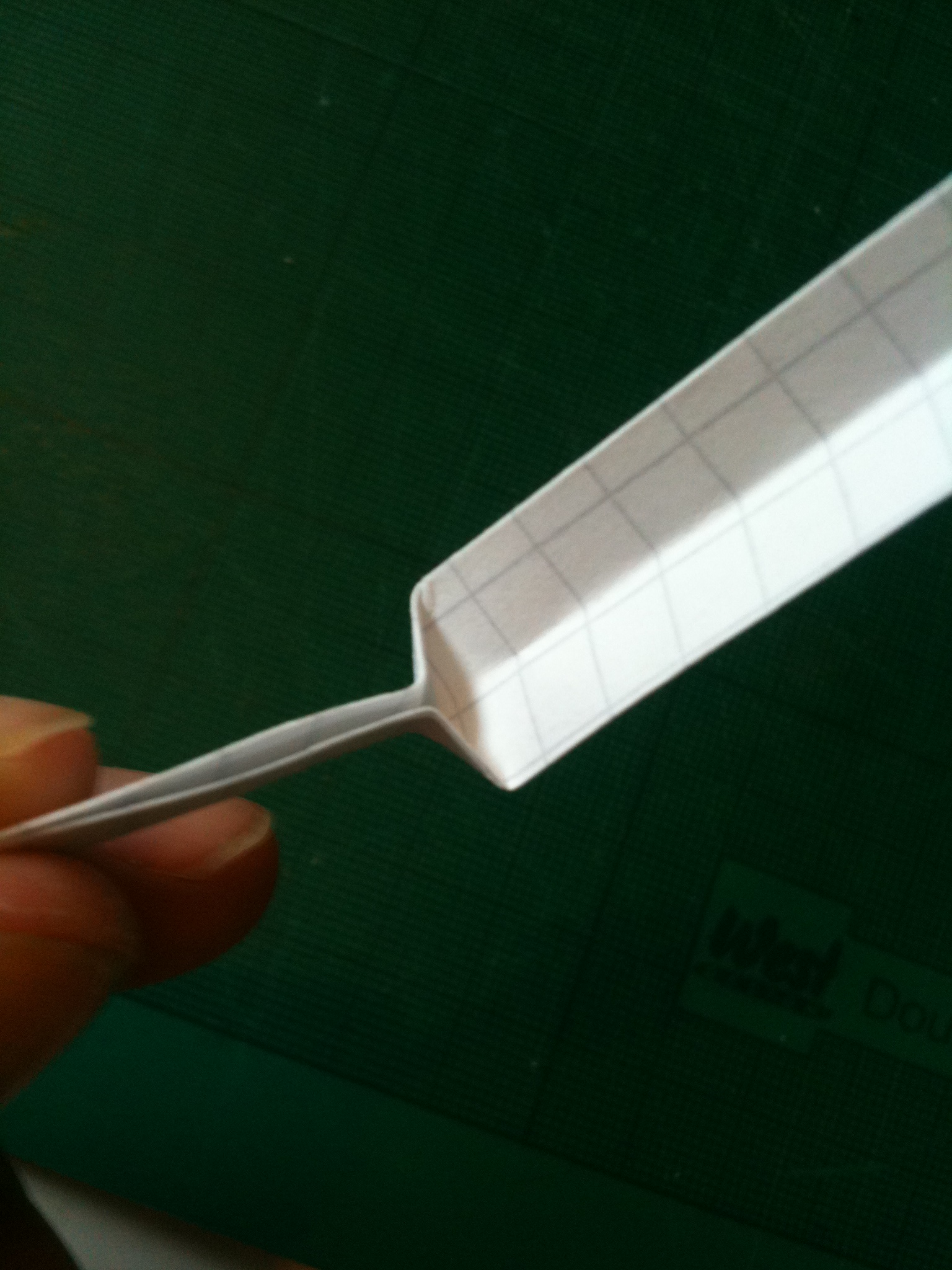 7 august 2011 029.JPG