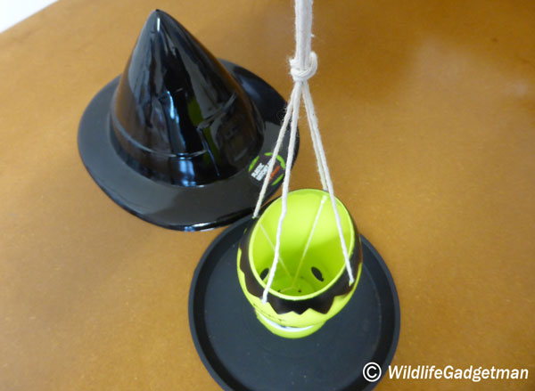 7-Halloween-Witches-Hat-Feeder-007-600.jpg