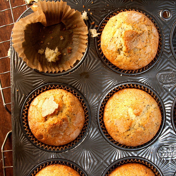 7-SAV150-132.LemonMuffins-750x750.jpg