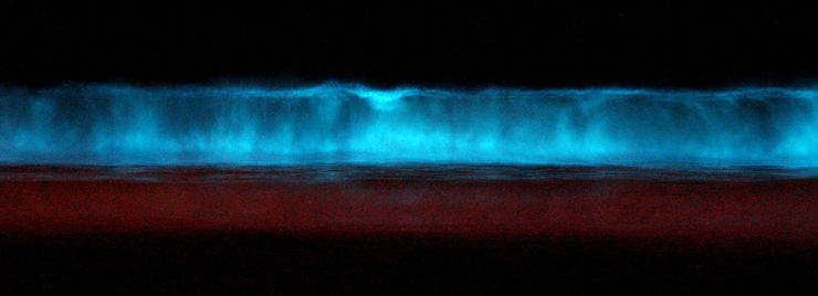 740px-Red_tide_bioluminescence_at_midnight.jpg