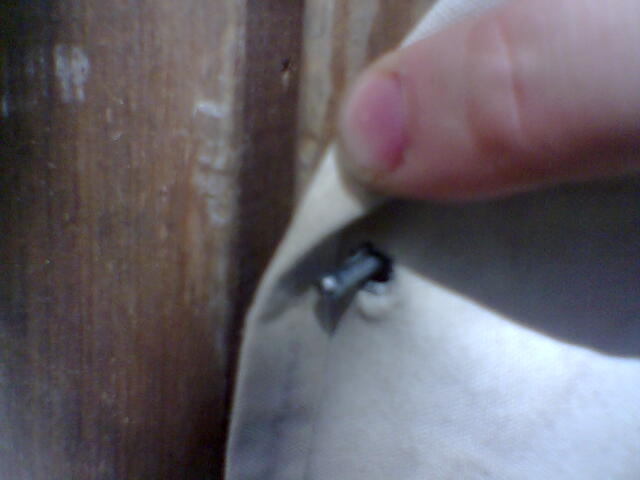 79-eyelets in edge of canvas hook onto nails in the timber frame.jpg