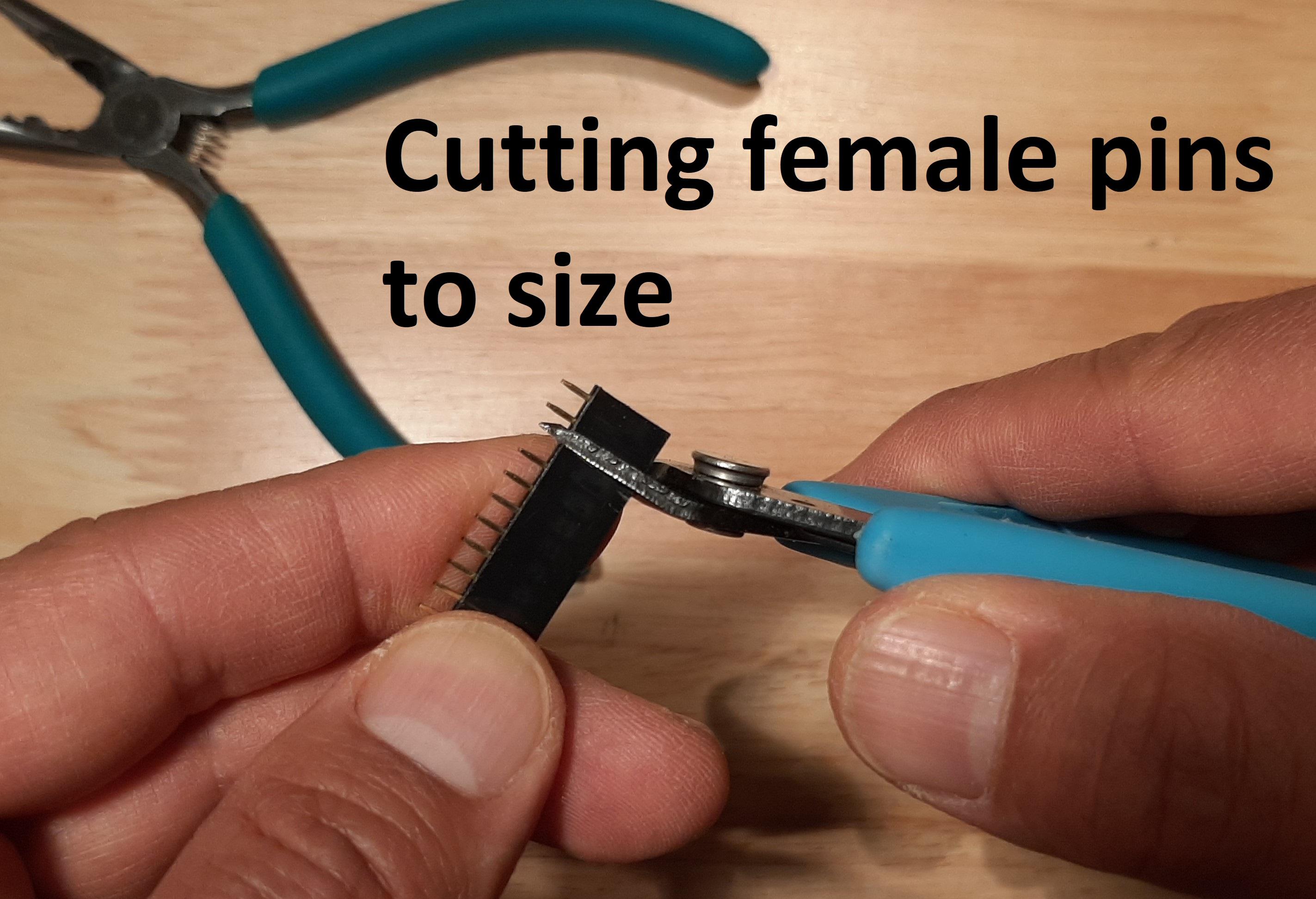 8 female cutting.jpg