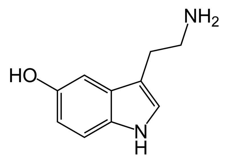 800px-Serotonin-skeletal.png