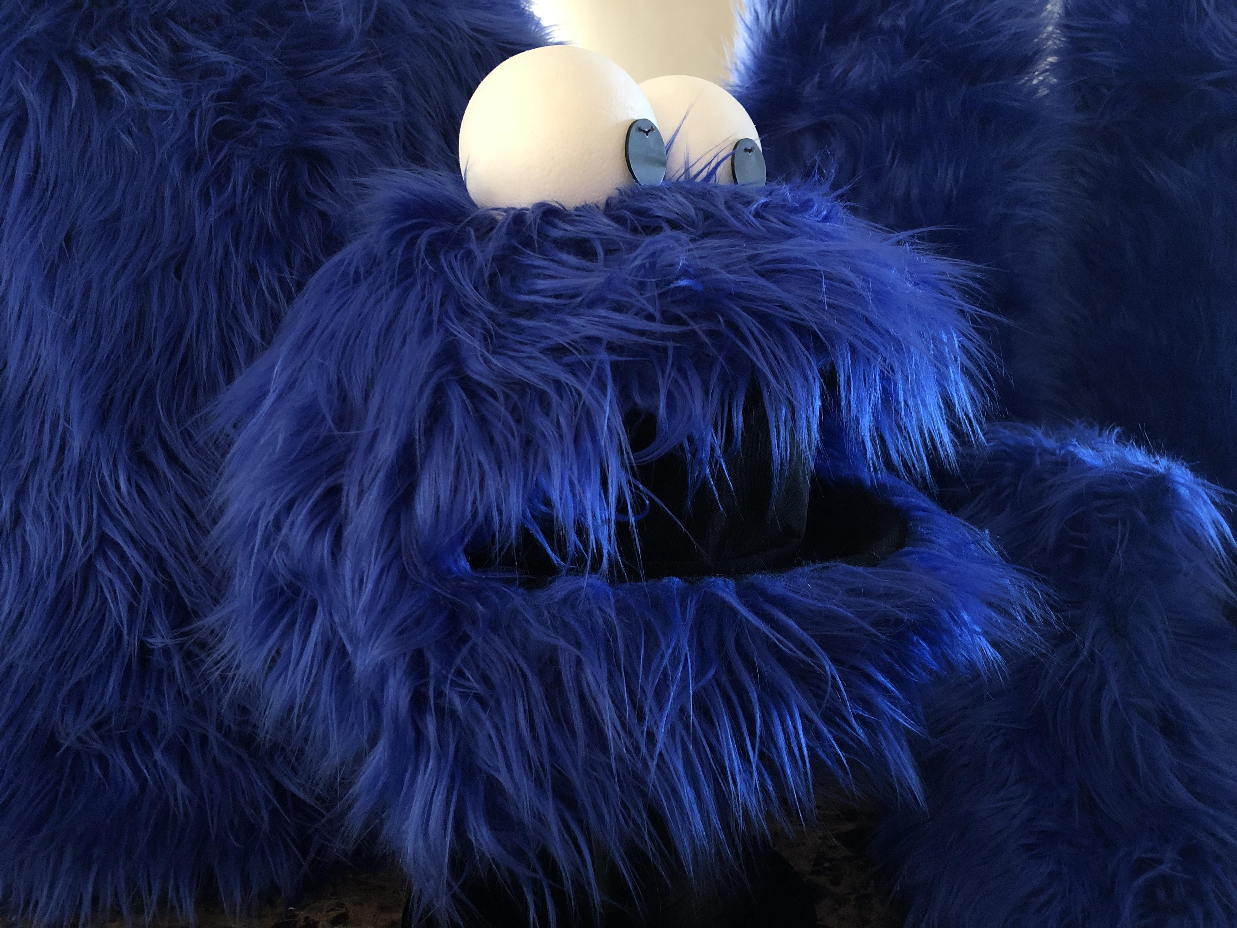 805 Cookie Monster Glam.JPG