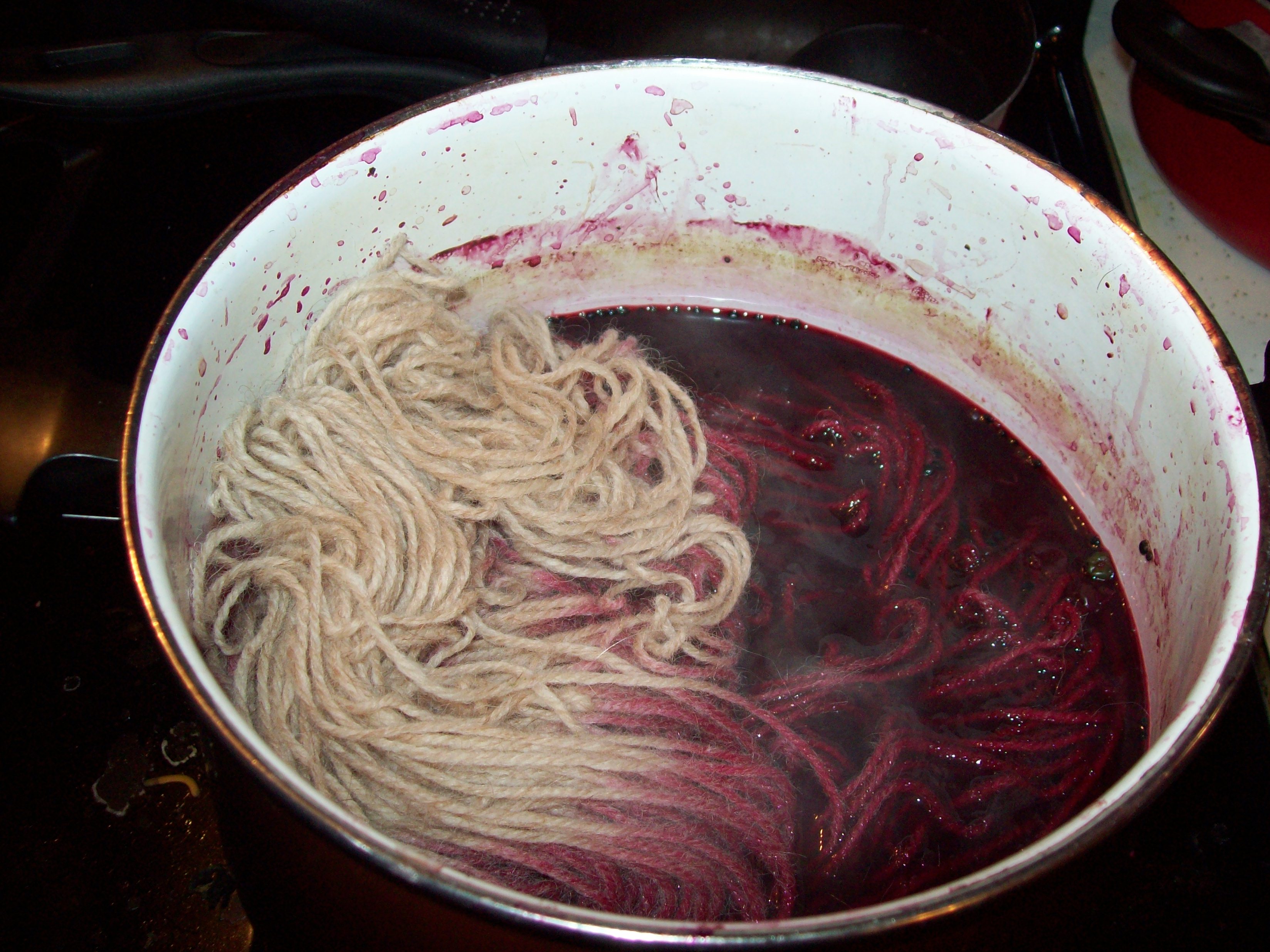 9 Easing into dye.JPG