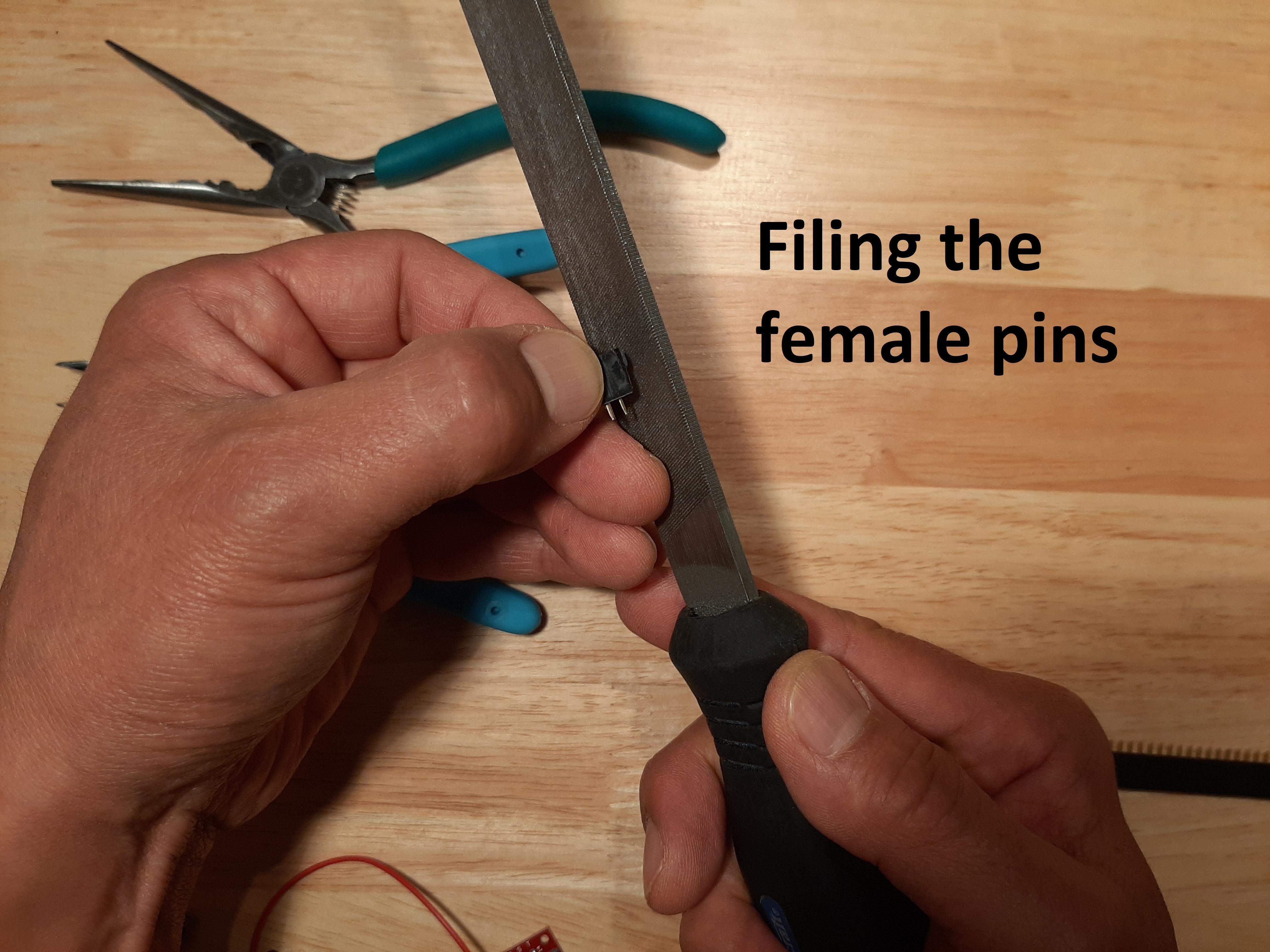 9 female filing.jpg