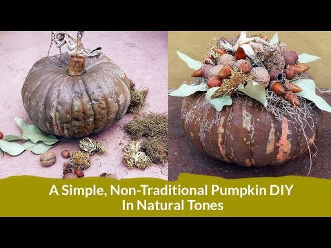 A Simple, Non-Traditional Pumpkin DIY In Natural Tones