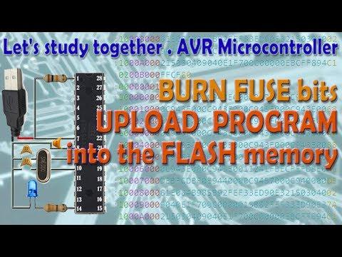 AVR Microcontroller. Chip fuse bits configuration. Creating and uploading the LED blinking program.