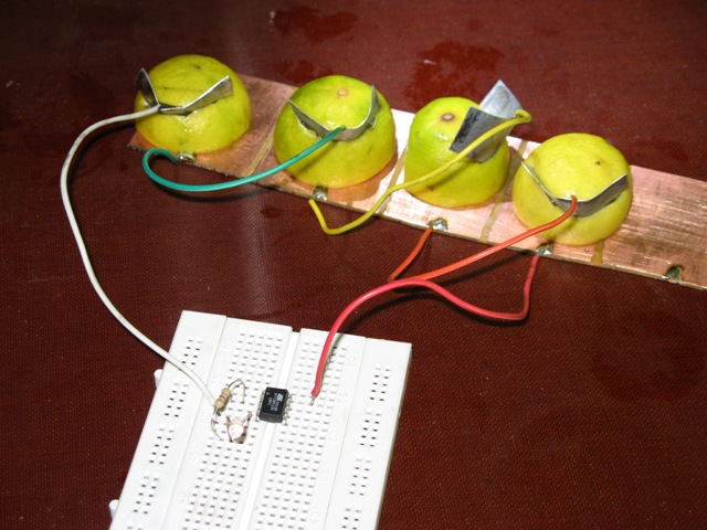 AVR_On_Lemon_Setup.jpg