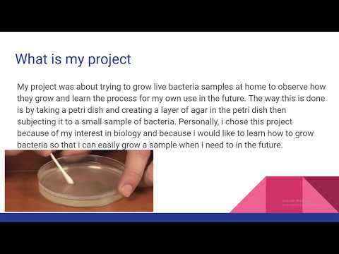 Abdulrahman Al-Binali 9/C Science fair project 2020 (Growing bacteria at home)