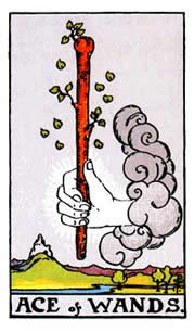 Ace of wands.jpg