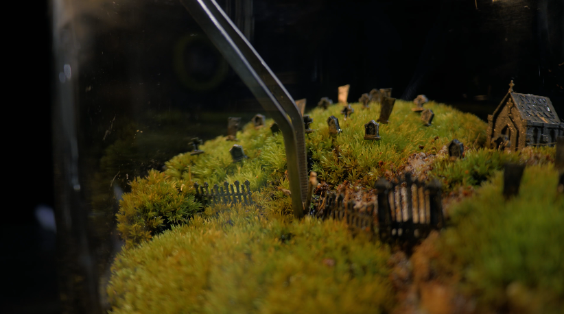 Adding Trees To The Moss Terrarium.PNG