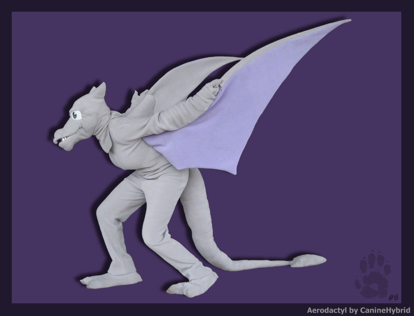 Aerodactyl Costume 03.jpg