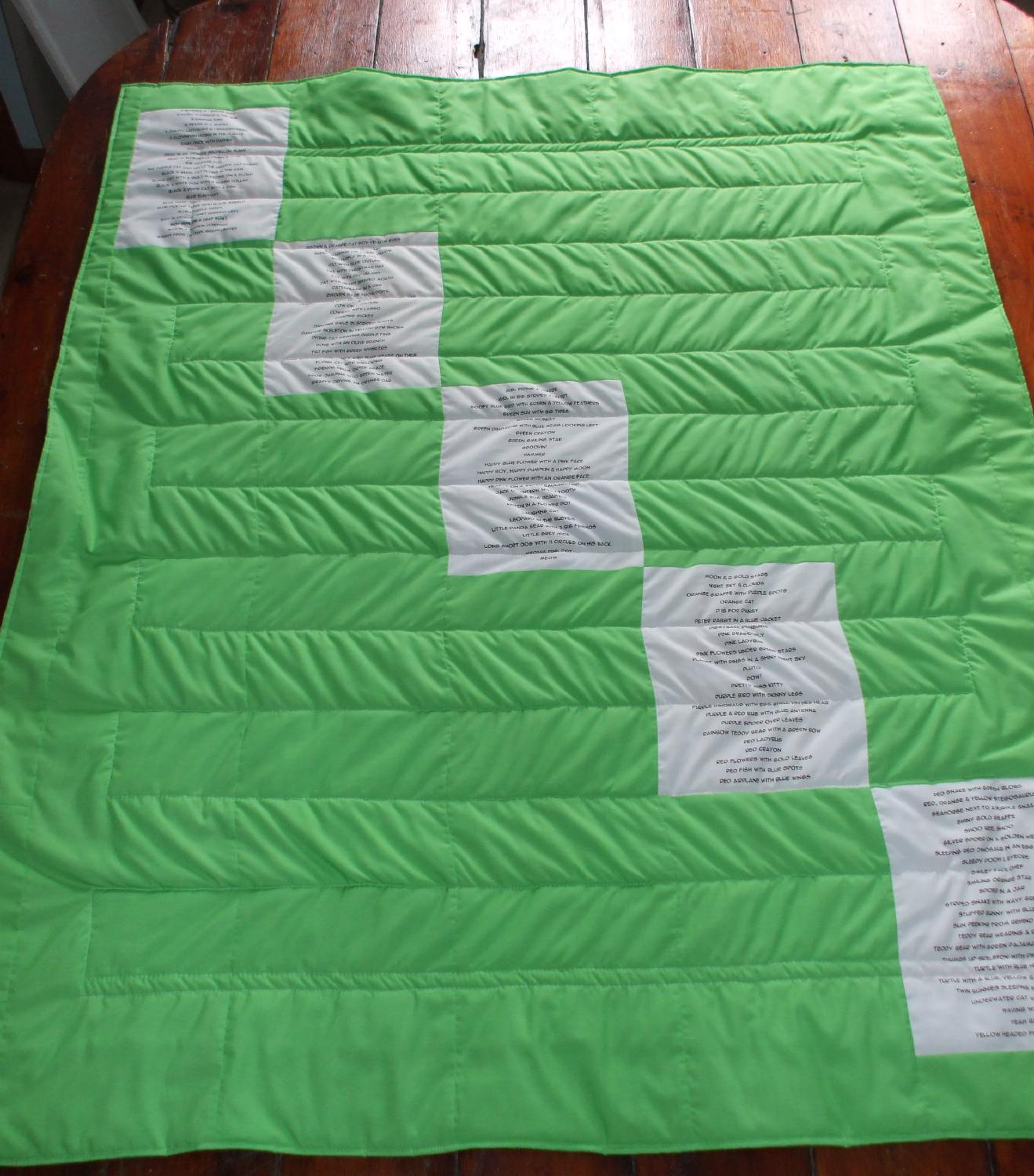 Aidan quilt back.jpg