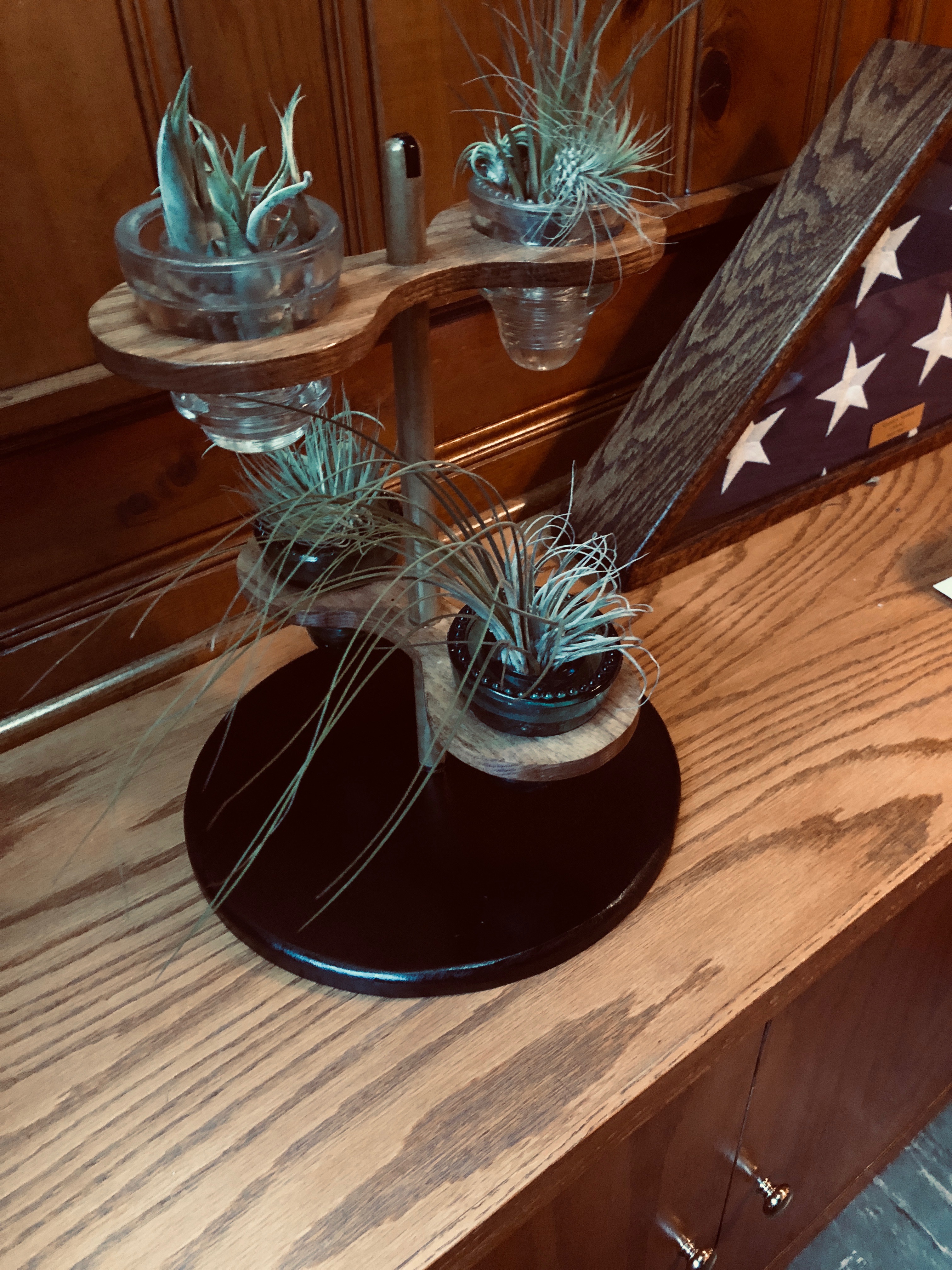 Air Plant Left Black Base.JPG