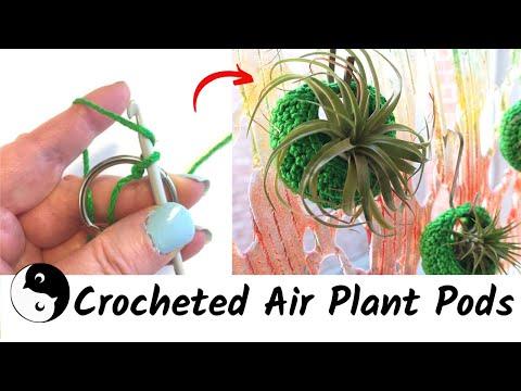 Air Plant Pods | Air Plant Holders | Birdz of a Feather