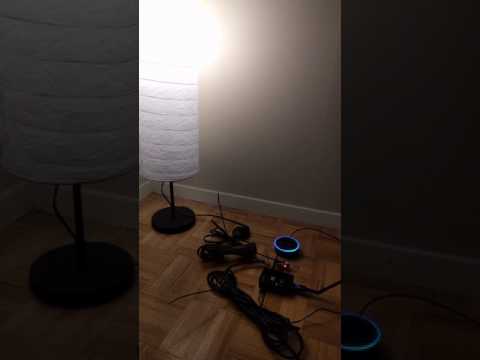 Alexa Light Switch with Raspberry Pi