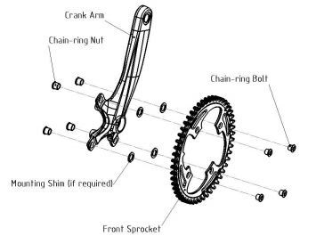 Alignment Chain RIng.JPG