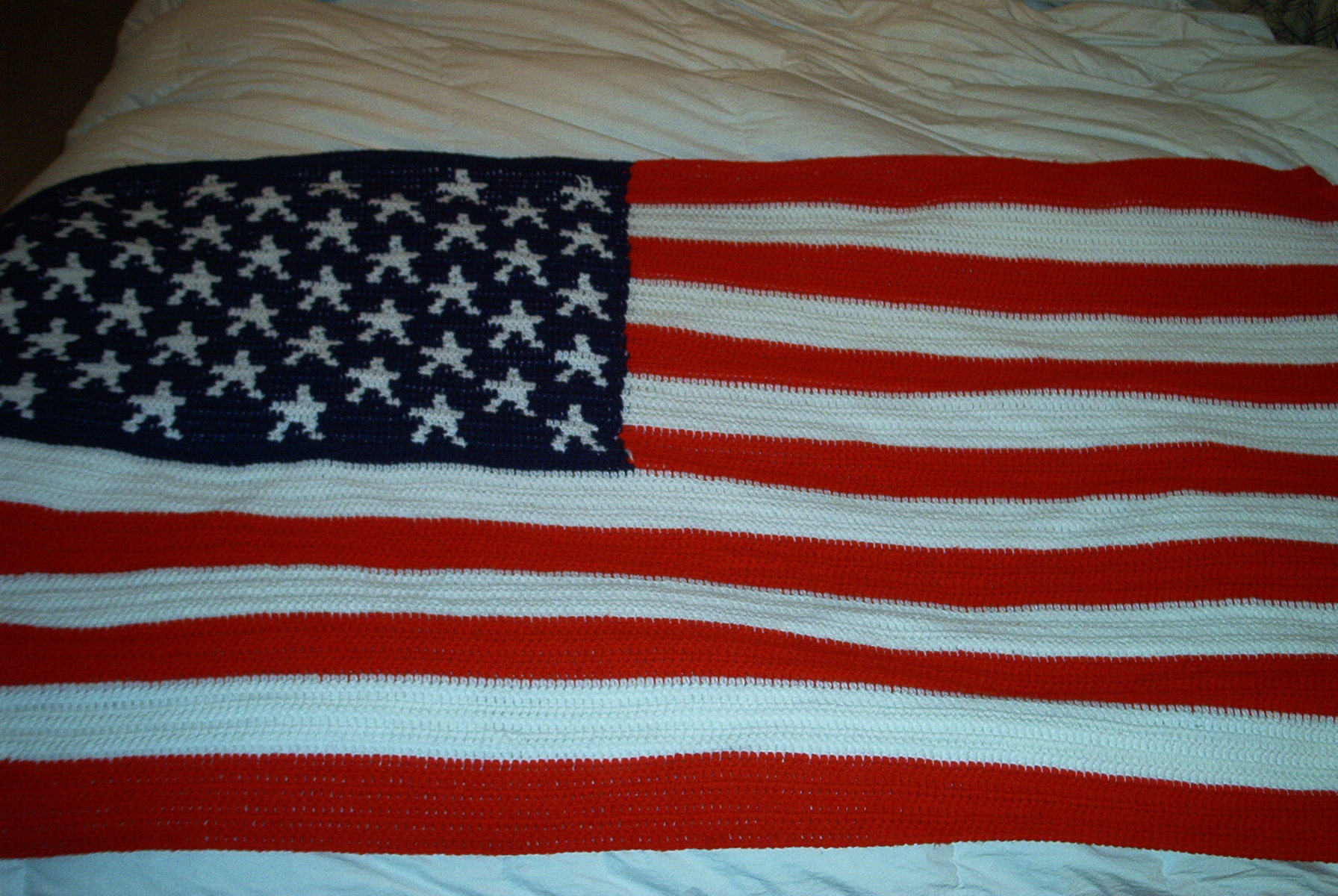 American flag view 1.jpg