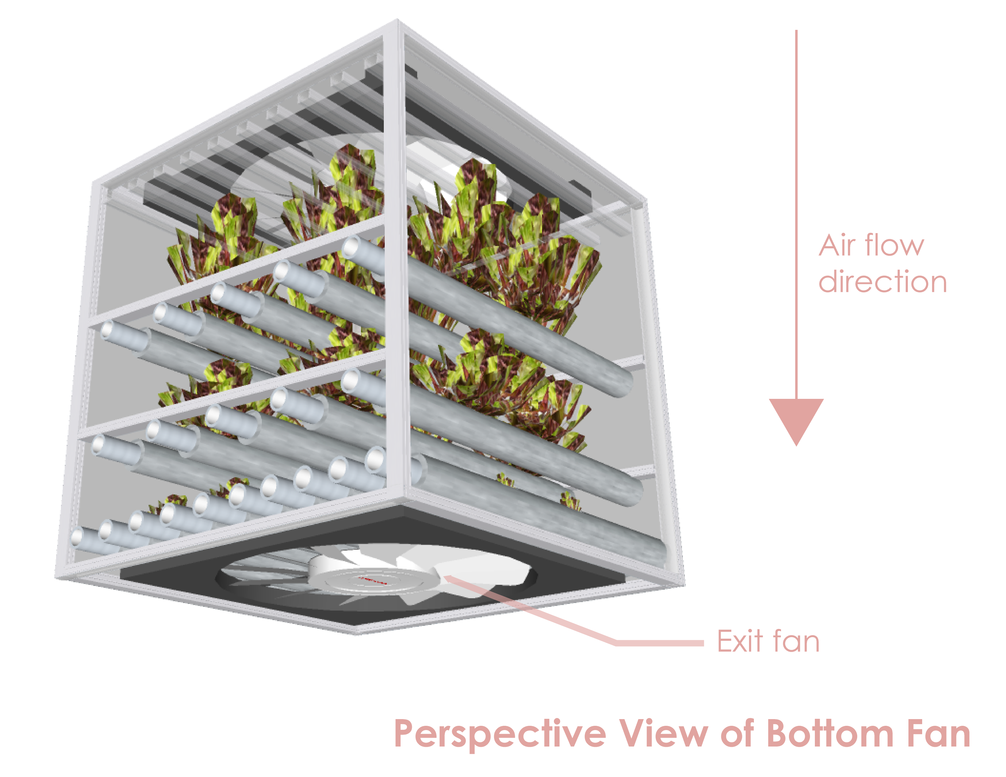 AngledBottFan_Labled-.png