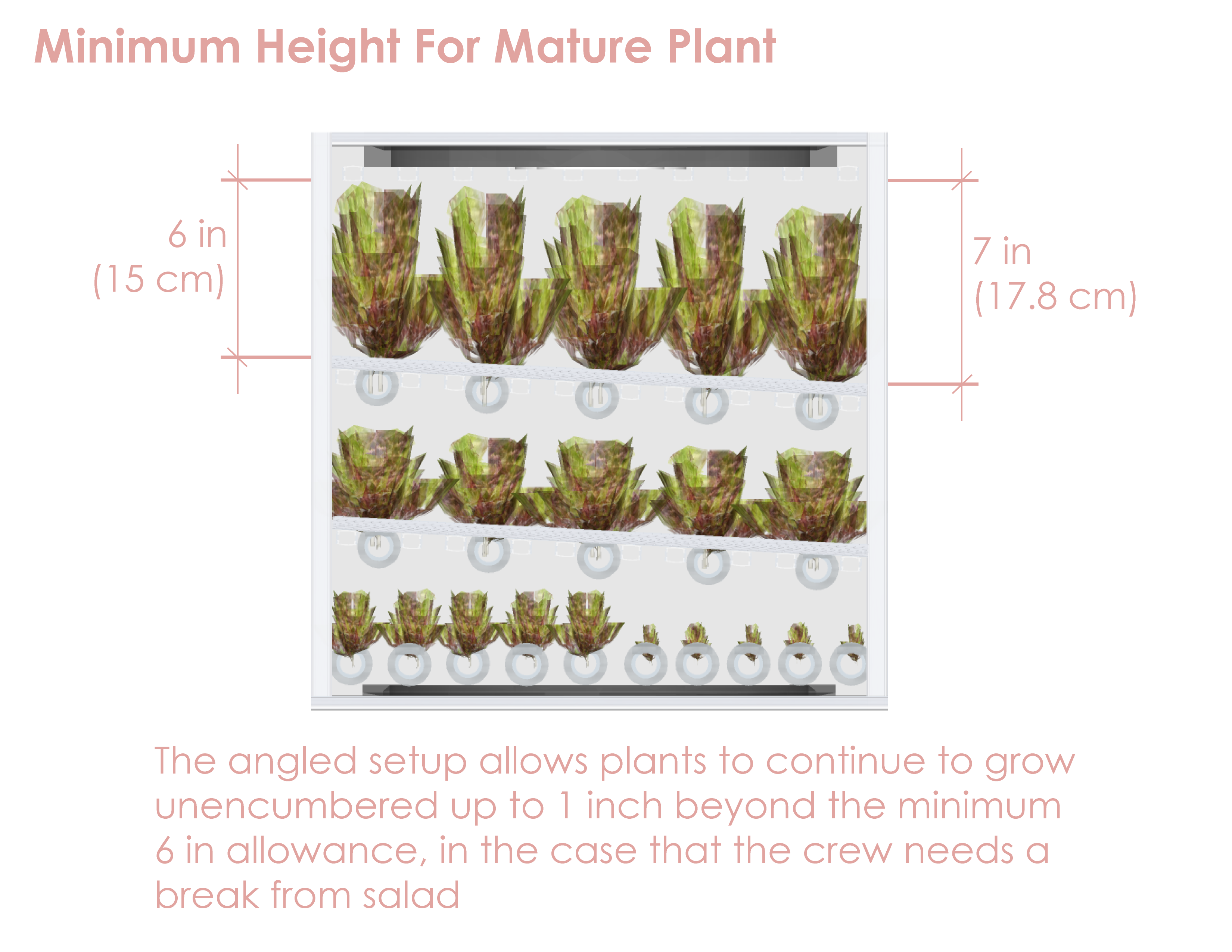 Angled_FrontPlaneView_annotated-.png